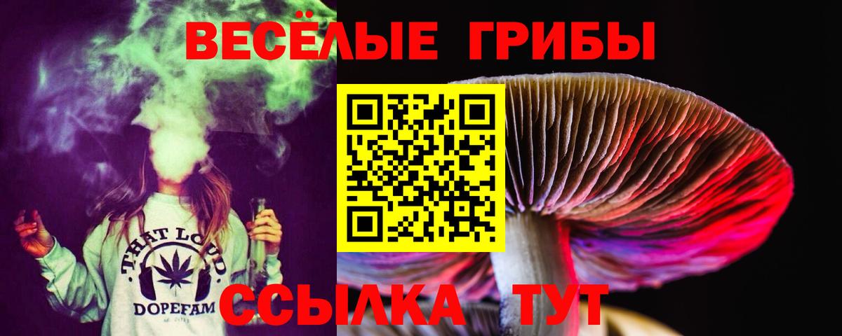 Псилоцибиновые грибы MAGIC MUSHROOMS  Вход с VPN  Горячий Ключ 